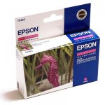  T048340 M  Epson StylusPhoto R200 .